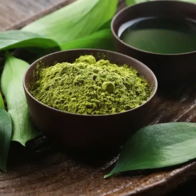 Green Tea Extract